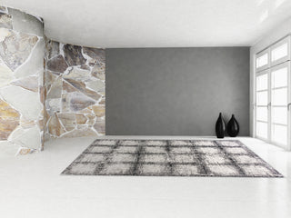 Dynamic Rugs Mehari 23095 Black/White Area Rug Lifestyle Image Feature