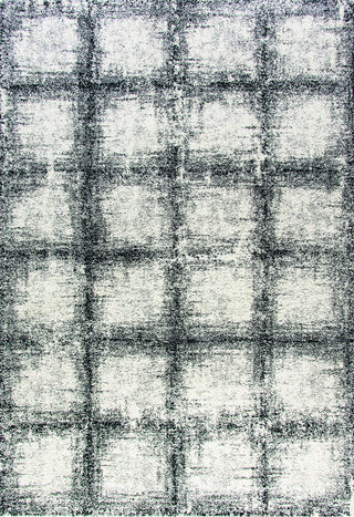 Dynamic Rugs Mehari 23095 Black/White Area Rug Main Image