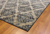 Dynamic Rugs Melody 985015 Ivory Area Rug Detail Image