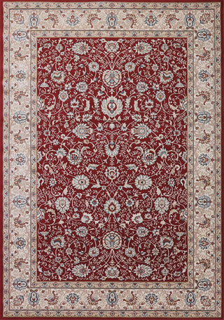 Dynamic Rugs Melody 985022 Red Area Rug main image