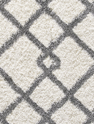 Dynamic Rugs Nitro Lux 6361 Ivory/Light Grey Area Rug Detail Image