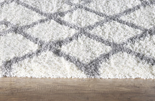 Dynamic Rugs Nitro Lux 6361 Ivory/Grey Area Rug Detail Image