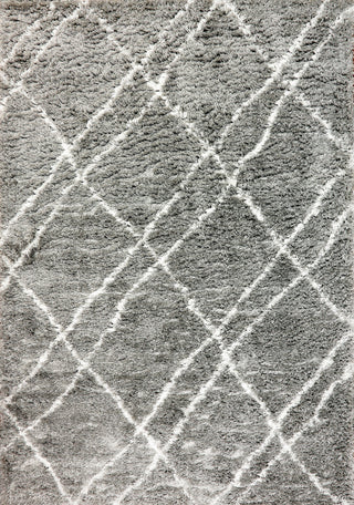 Dynamic Rugs Nordic 7431 Silver/White Area Rug