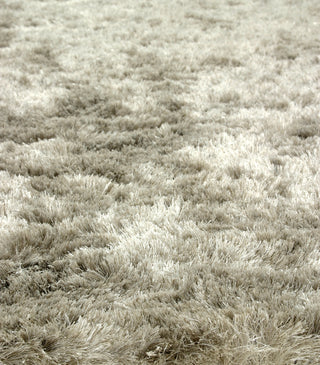 Dynamic Rugs Paradise 2400 Silver Area Rug Detail Image