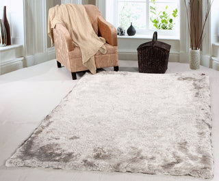 Dynamic Rugs Paradise 2401 Taupe/Multi Area Rug