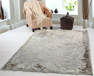 Dynamic Rugs Paradise 2401 Silver/Multi Area Rug