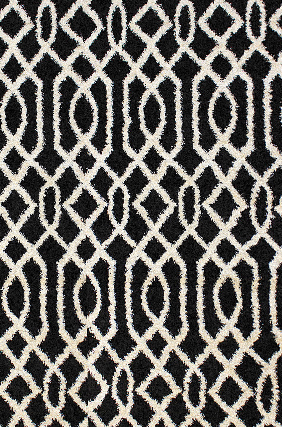 Dynamic Rugs Passion 6203 Black Area Rug main image
