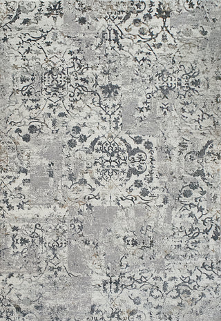 Dynamic Rugs Quartz 25010 Light Grey Area Rug