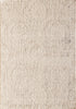 Dynamic Rugs Quartz 27020 Ivory/Beige Area Rug main image