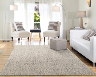 Dynamic Rugs Quartz 27030 Ivory/Beige Area Rug Lifestyle Image Feature