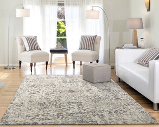 Dynamic Rugs Quartz 27030 Beige Area Rug Lifestyle Image Feature