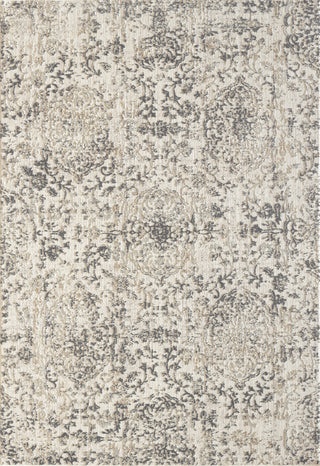 Dynamic Rugs Quartz 27030 Beige Area Rug main image