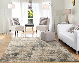 Dynamic Rugs Quartz 27031 Beige/Grey Area Rug