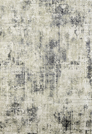 Dynamic Rugs Quartz 27035 Grey Area Rug main image