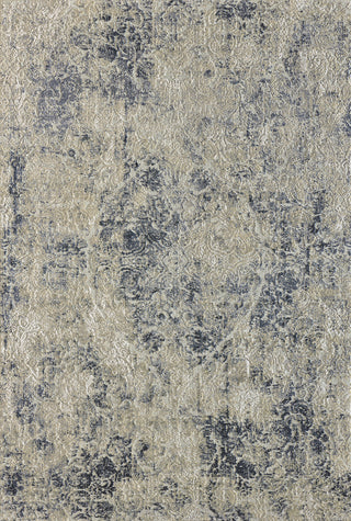 Dynamic Rugs Quartz 27040 Light Beige/Grey Area Rug main image