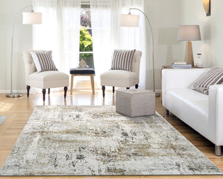 Dynamic Rugs Quartz 27050 Ivory/Grey Area Rug