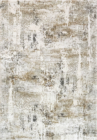 Dynamic Rugs Quartz 27050 Ivory/Grey Area Rug main image