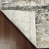 Dynamic Rugs Quartz 27053 Ivory/Grey Area Rug Detail Image