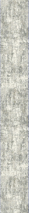 Dynamic Rugs Quartz 27061 Ivory/Grey Area Rug