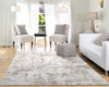 Dynamic Rugs Quartz 27061 Ivory/Grey Area Rug