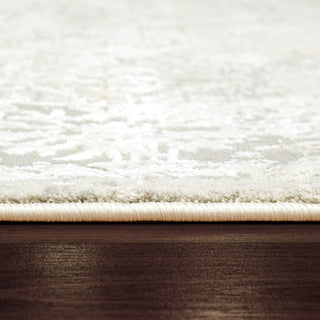 Dynamic Rugs Quartz 27073 Ivory Area Rug Detail Image