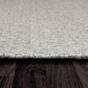 Dynamic Rugs Ray 4265 Silver Area Rug