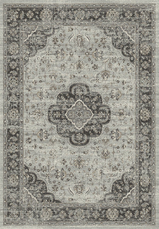 Dynamic Rugs Regal 88910 Grey Area Rug main image