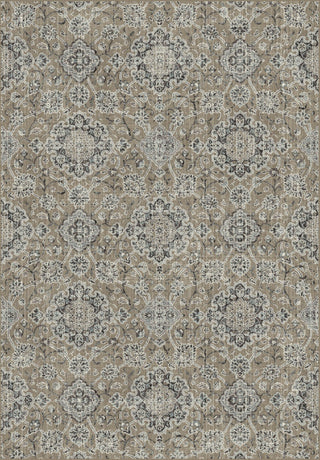 Dynamic Rugs Regal 89665 Taupe/Grey Area Rug Main