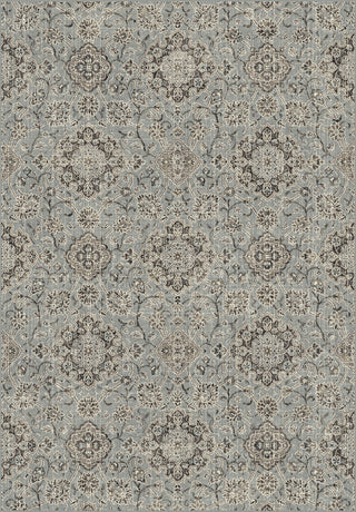 Dynamic Rugs Regal 89665 Silver/Blue Area Rug Main Image