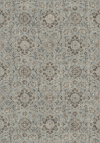 Dynamic Rugs Regal 89665 Silver/Blue Area Rug Main