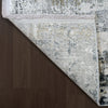 Dynamic Rugs Ruby 2160 Ivory/Grey Area Rug Detail Image