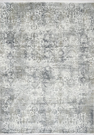 Dynamic Rugs Ruby 2162 Ivory/Grey Area Rug main image