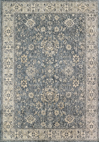 Dynamic Rugs Savoy 3572 Denim/Grey/Cream Area Rug main image