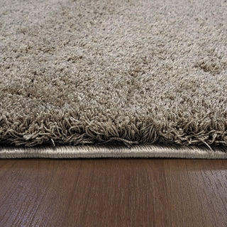 Dynamic Rugs Silky Shag 5900 Beige Area Rug Detail Image