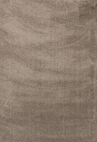 Dynamic Rugs Silky Shag 5900 Beige Area Rug main image