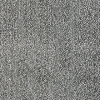 Dynamic Rugs Silky Shag 5900 Silver Area Rug