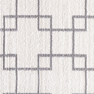 Dynamic Rugs Silky Shag 5901 Ivory/Silver Area Rug Detail Image