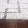 Dynamic Rugs Silky Shag 5901 Ivory/Silver Area Rug Detail Image