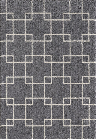 Dynamic Rugs Silky Shag 5901 Grey Area Rug main image