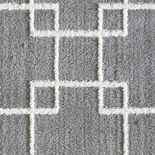 Dynamic Rugs Silky Shag 5901 Silver Area Rug