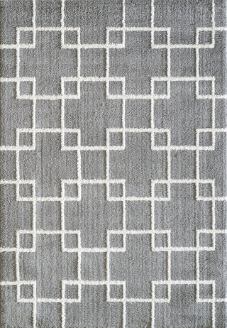 Dynamic Rugs Silky Shag 5901 Silver Area Rug