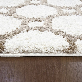 Dynamic Rugs Silky Shag 5903 Ivory/Beige Area Rug Detail Image