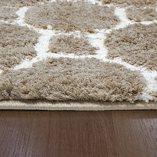 Dynamic Rugs Silky Shag 5903 Beige Area Rug Detail Image