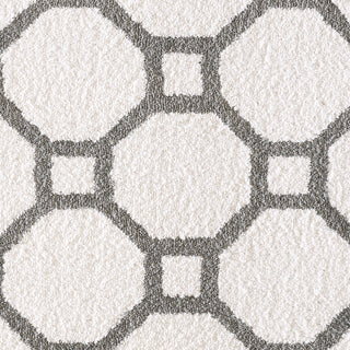 Dynamic Rugs Silky Shag 5903 White/Silver Area Rug