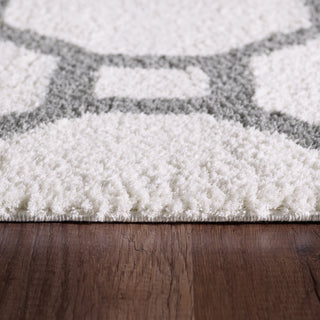 Dynamic Rugs Silky Shag 5903 White/Silver Area Rug