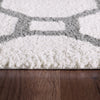 Dynamic Rugs Silky Shag 5903 White/Silver Area Rug Detail Image