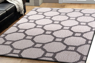 Dynamic Rugs Silky Shag 5903 White/Silver Area Rug