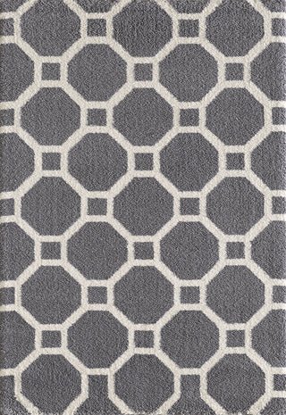 Dynamic Rugs Silky Shag 5903 Grey Area Rug main image