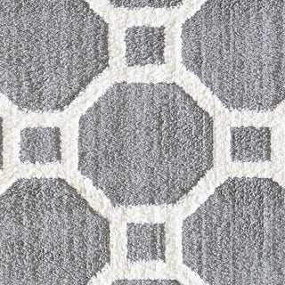 Dynamic Rugs Silky Shag 5903 Silver/White Area Rug