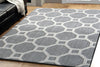 Dynamic Rugs Silky Shag 5903 Silver/White Area Rug Lifestyle Image Feature